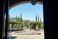 Winery grounds