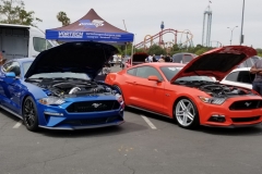 pair of Mustangs