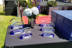 Awards table 1